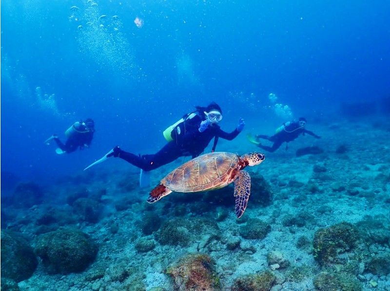 【沖縄・サンゴ礁・ファンダイビング・2ダイブ】サンゴ礁と熱帯魚の餌付け満喫！GoPro写真＆動画無料！沖縄人ガイド！口コミ＆写真満足度Ｎo1の紹介画像