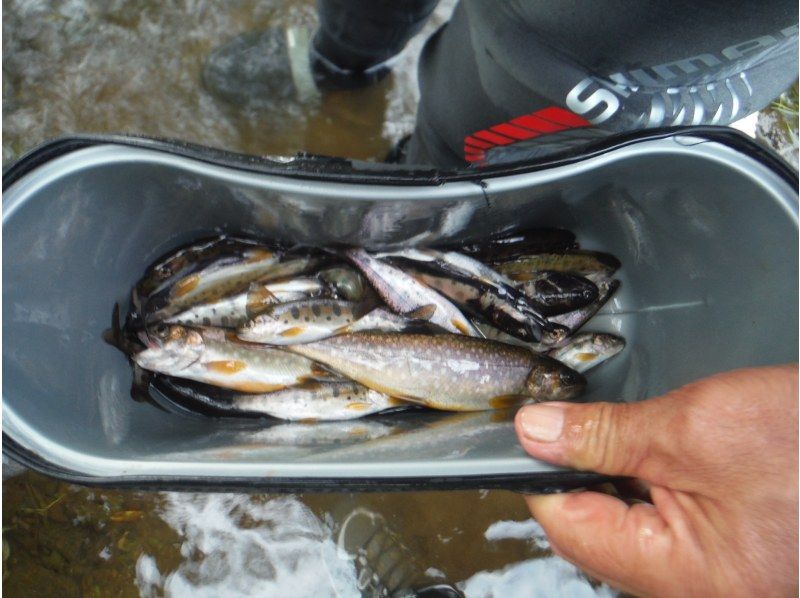 [Hokkaido ・ Kuromatsunai Town] Mountain stream fishing experience empty-handedの紹介画像