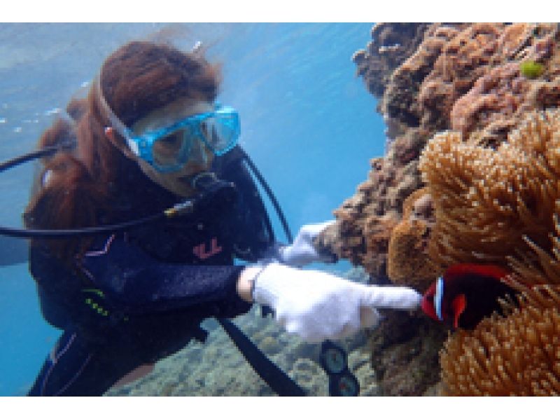 【Kagoshima · Amami】 To the secret point by boat ☆ boat experience divingの紹介画像