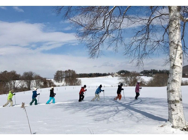 [Hokkaido/Sapporo] The most popular! Hokkaido enjoyment Snowshoes trekking-pick-up, meals, deals plan with Hot springの紹介画像