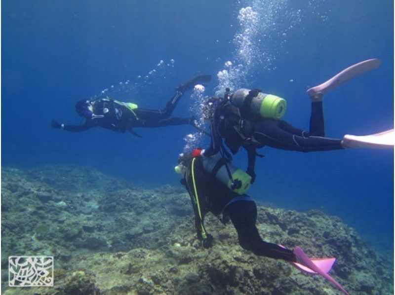 【沖縄・宮古島】ボート体験ダイビング（半日プラン）の紹介画像
