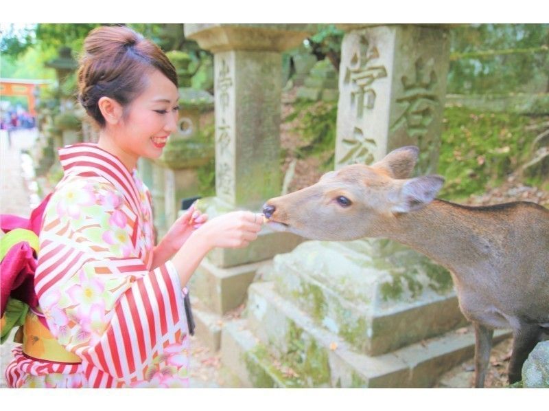 奈良「Waplus　Nara（わぷらす奈良）」　着物レンタルをして観光を楽しむ女性