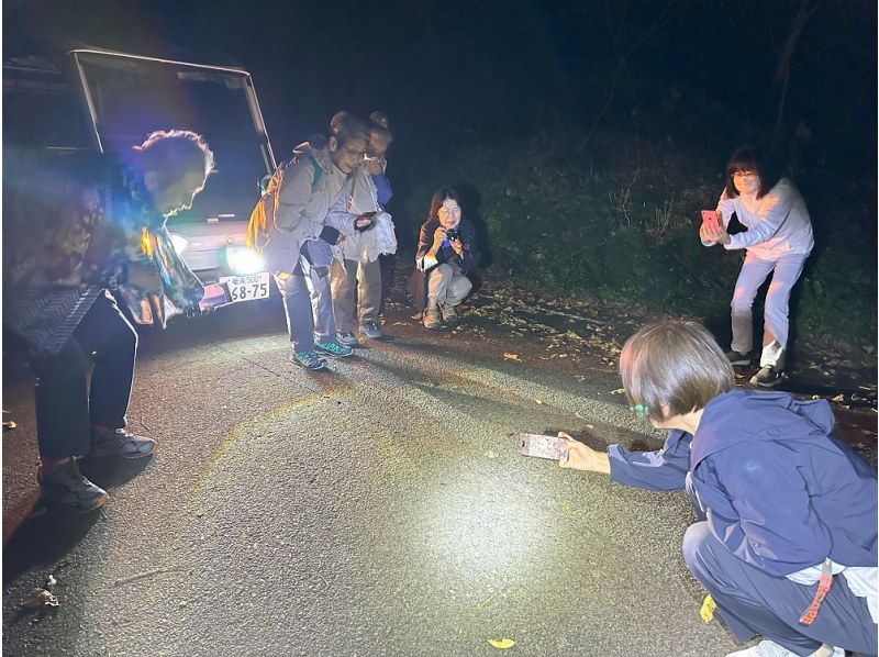 【鹿児島・奄美大島】電気自動車で巡る感動の体験「大自然旅行」ナイトツアー！