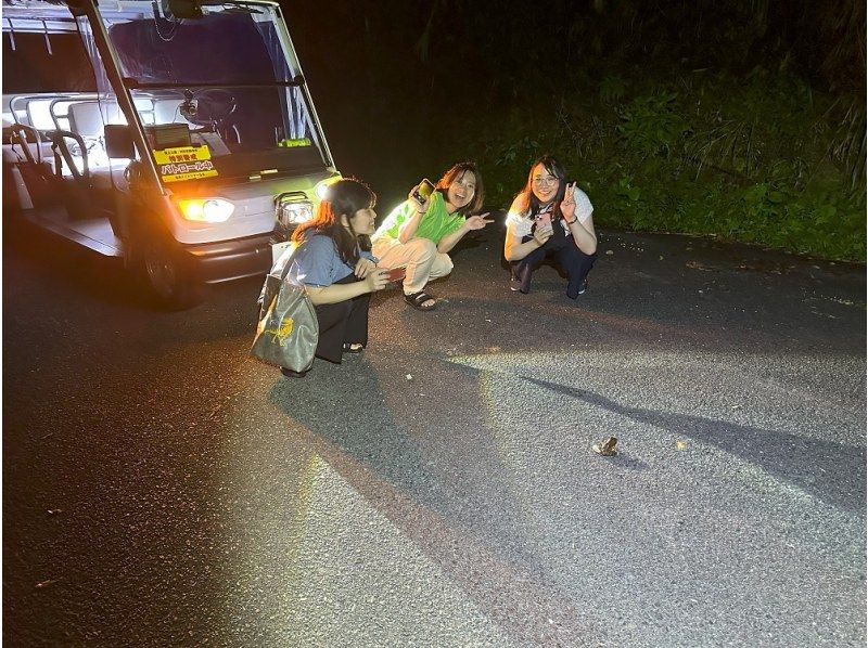【鹿児島・奄美大島】電気自動車で巡る感動の体験「大自然旅行」ナイトツアー！