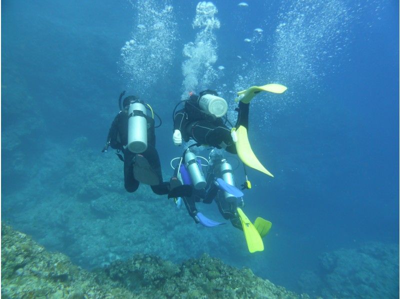 【沖縄本島南部でゆったりとマイペースで】一組貸切　期間限定特別価格　じっくりと確実に学べる、ダイバー入門コース