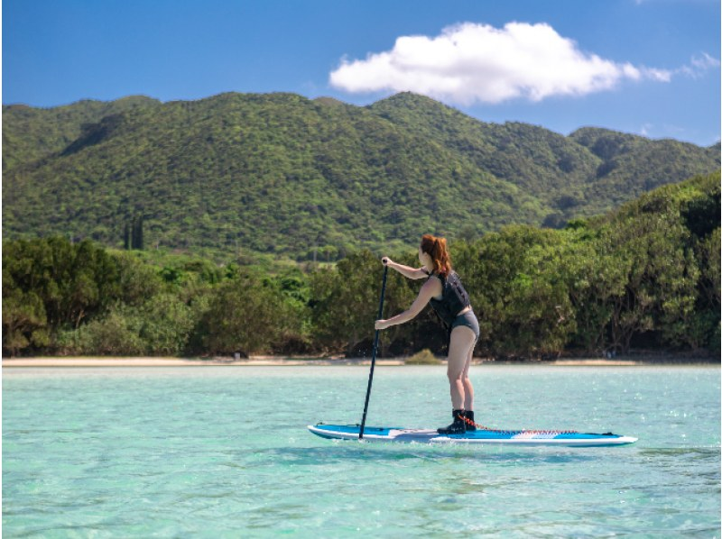 [Ishigaki Island/Half-day] Choose from SUP/canoeing in the world-renowned "Kabira Bay" ★ Free pick-up and drop-off/photo data with no additional charges, same-day reservations OK!の紹介画像