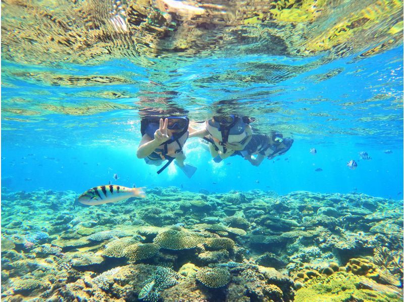 [Departing from Naha, local coupons available] Half-day snorkeling tour in the Chibishi Islands ★ Large catamaran ship that is resistant to shaking ★ Free feeding & photo gift ★の紹介画像
