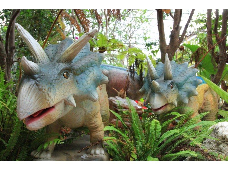 【沖縄・名護】大人気！「ナゴパイナップルパーク入園チケット」パイナップルをまるごと楽しもう！の紹介画像