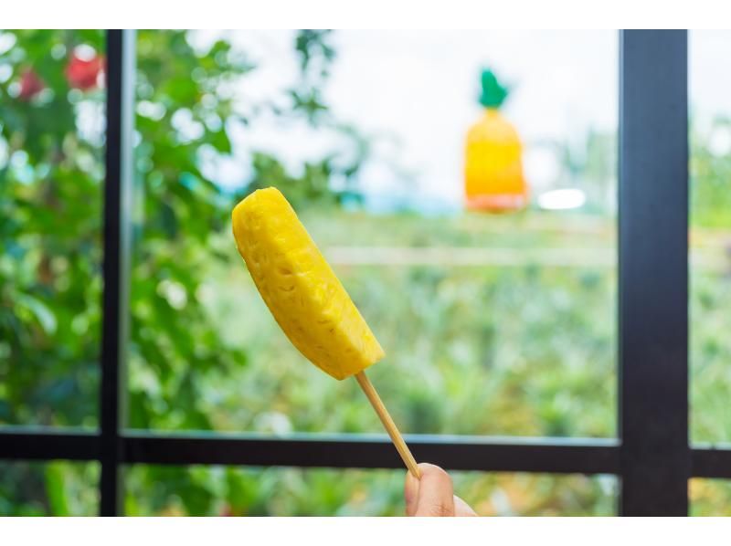 【沖縄・名護】大人気！「ナゴパイナップルパーク入園チケット」パイナップルをまるごと楽しもう！の紹介画像