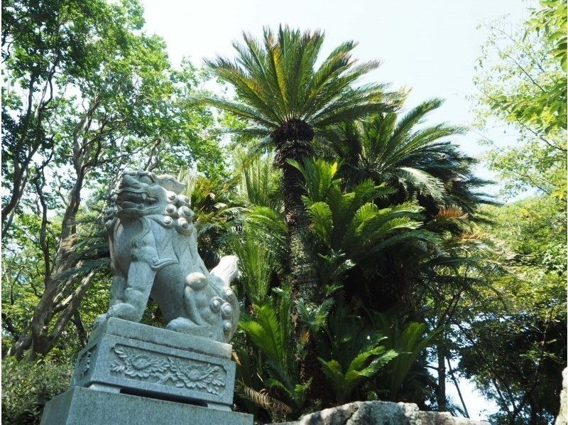 【山阴/ Okinoshima】在中海享受大自然！ Bra Tokai Petit自行车之旅（90分钟）の紹介画像