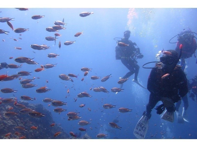 [Shizuoka/Nishiizu]Enjoy dynamic topography and fish school!  2 boat diving (with free transfer)