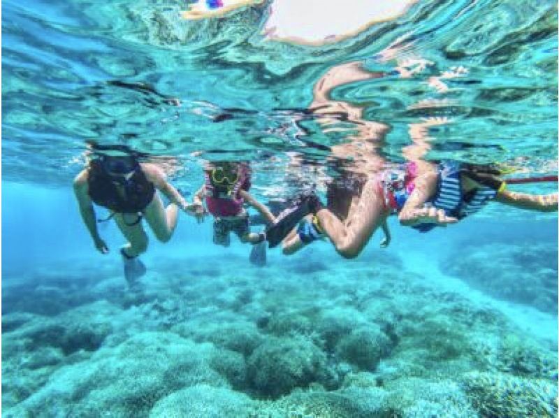 [Iriomote Island/half day] With sea turtles on the "miracle island" made of coral fragments! Barasu Island boat snorkeling [free photo data]の紹介画像