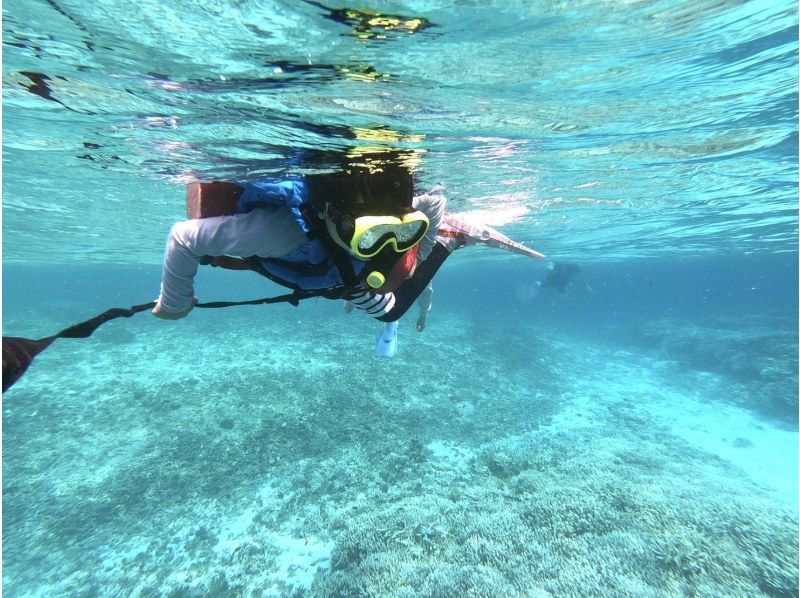 [Iriomote Island/half day] With sea turtles on the "miracle island" made of coral fragments! Barasu Island boat snorkeling [free photo data]の紹介画像