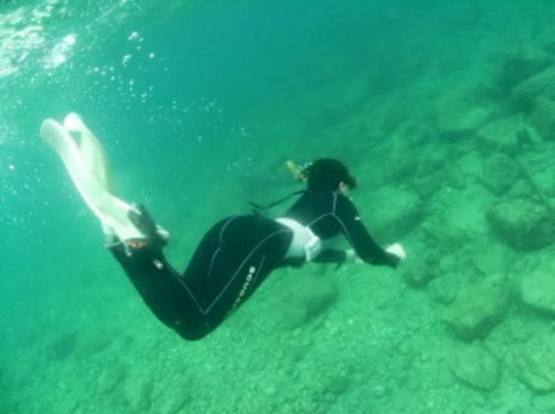 Skin dive /option With a course Sanin Geopark 1 day course ※ If you have certifiedの紹介画像