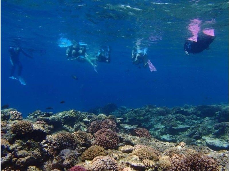 [From Naha] Kerama Islands Snorkeling + Marine Sports 1 item plan (with fish contact experience) [3 hours]の紹介画像