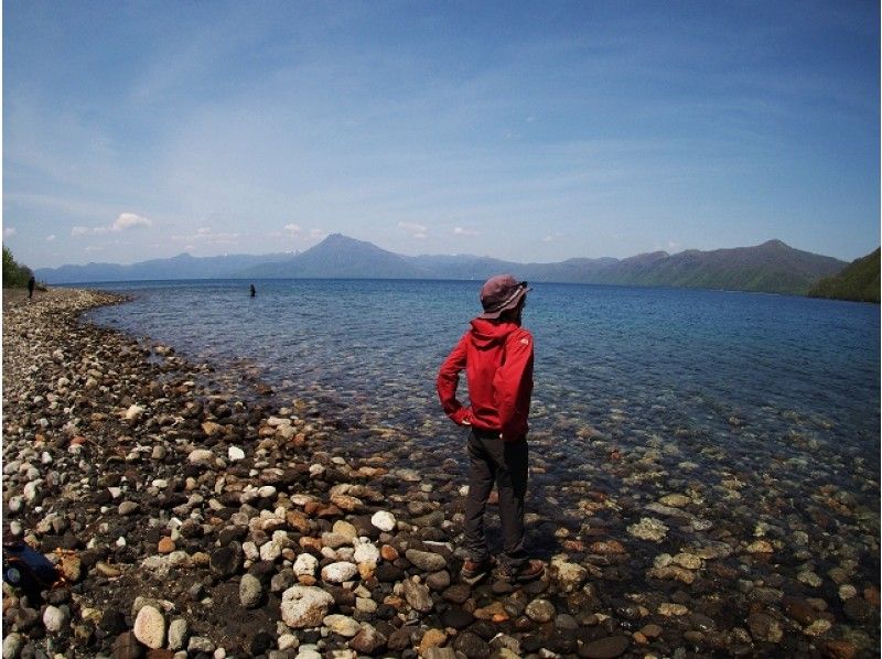[Hokkaido / Lake Shikotsu] Moss Corridor & Lake Shikotsu Walk / Guided Complete Private Tourの紹介画像