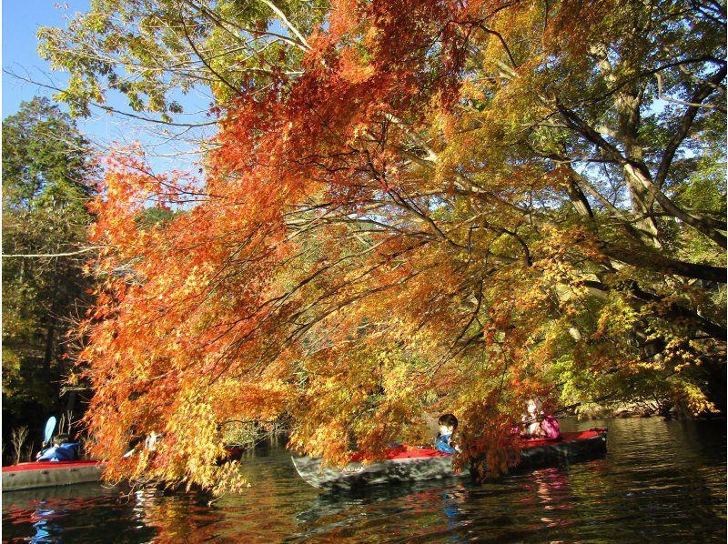 Kanukko [Kusagi Lake, Midori City, Gunma Prefecture] Canoeing available from age 3! (Half-day) Kusagi Lake canoe tour ☆ Free photos! Dogs can ride too!の紹介画像