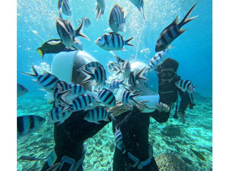 [Okinawa] Fun for ages 8 and up! Sea walk & marine sports 2-item set with photo data serviceの紹介画像