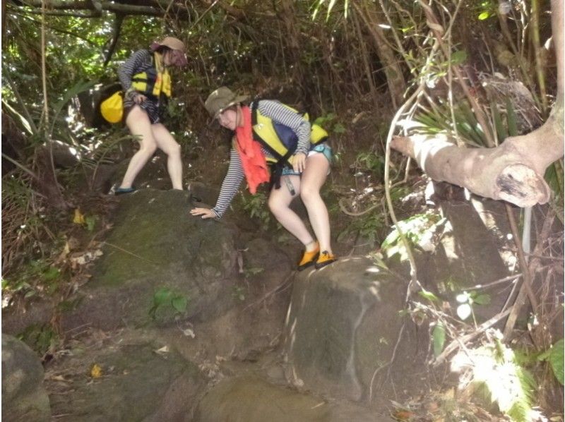 [Okinawa / Iriomote Island] Plenty of day! Canoeing & trekking & snorkeling to Sangala Fallsの紹介画像