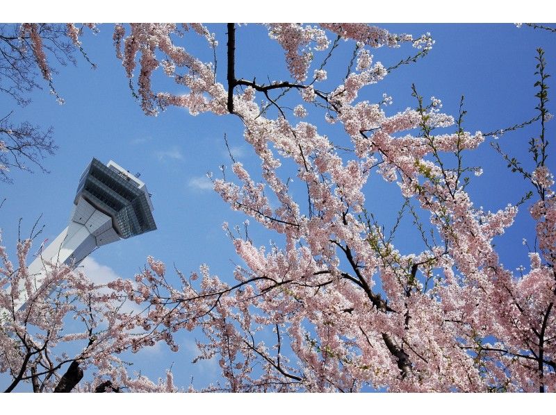 [Hokkaido/ Hakodate] Hakodate city sightseeing course 3 hours! Jumbo taxi (up to 9 customers)の紹介画像
