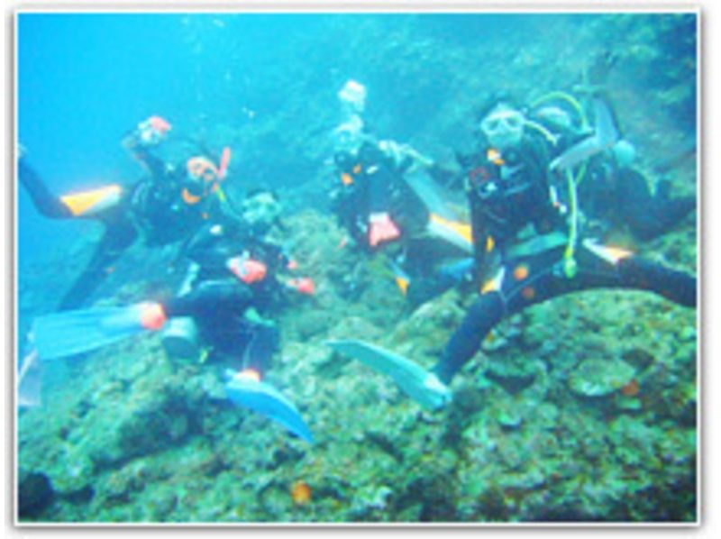 [โอะกินะวะกิโนวัง] ใบอนุญาตดำน้ำหลักสูตรการเข้าซื้อกิจการของ PADI Open Water Diverの紹介画像