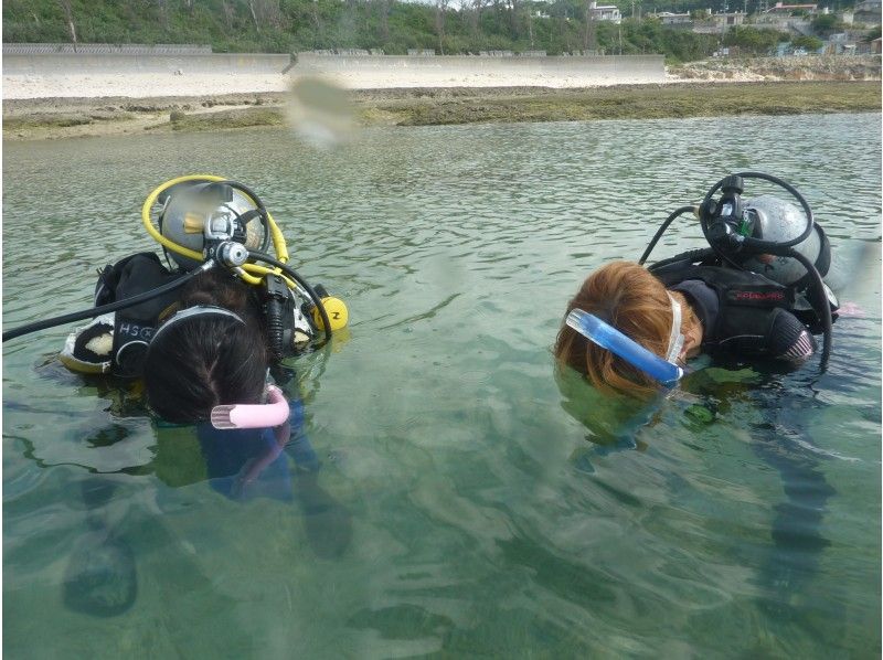 【2名様・3時間一組貸切/温水シャワー更衣室完備】沖縄本島南部観光のついで  お手軽貸し切り体験ダイビングの紹介画像
