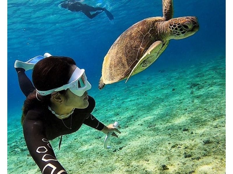 [Kagoshima / Amami Oshima Central] Half-day boat tour in the highly transparent sea!