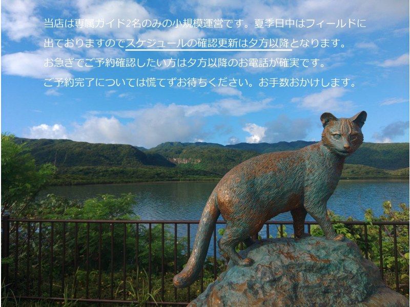 【沖縄・西表島】スーパーセール実施中《朝割！》　朝の静かなピナイサーラの滝壺AMツアー！★島旅感謝プラン★の紹介画像