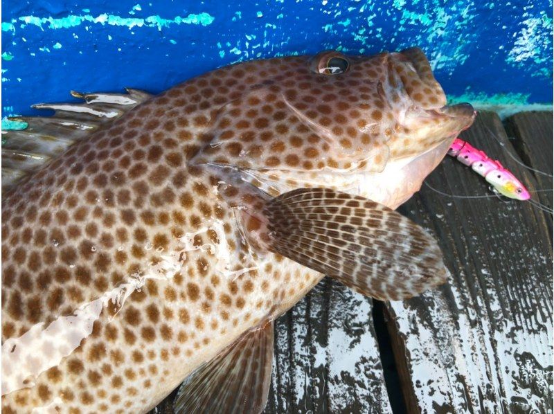 【鹿児島・鹿児島市】手ぶらで船釣り★鹿児島のシンボル桜島を眺めながら、穏やかな錦江湾で釣りを楽しもう！初心者・女性・お子様大歓迎！の紹介画像