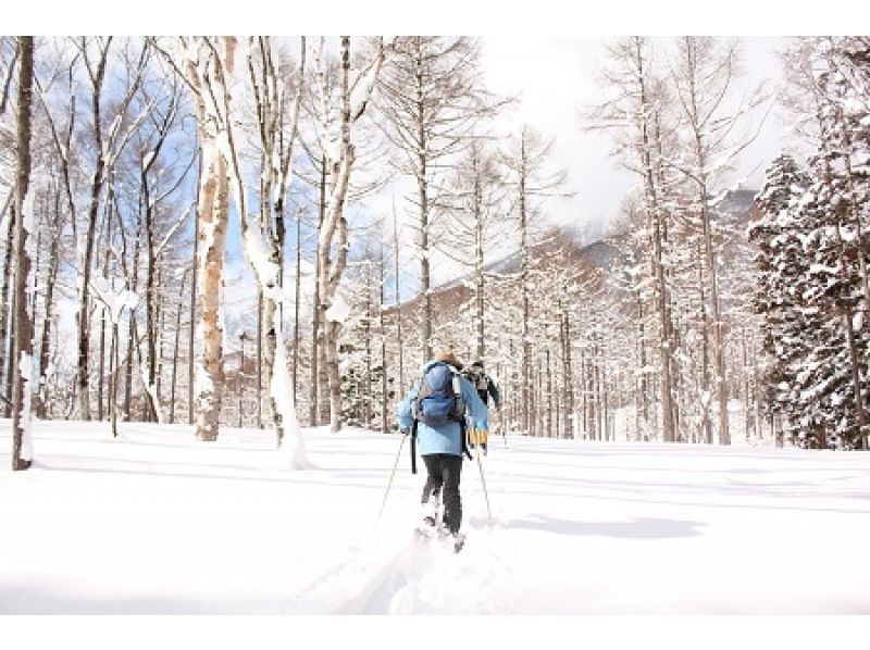 Playing in the snow feature! what do you play in winter Winter sports and snow activity popularity ranking