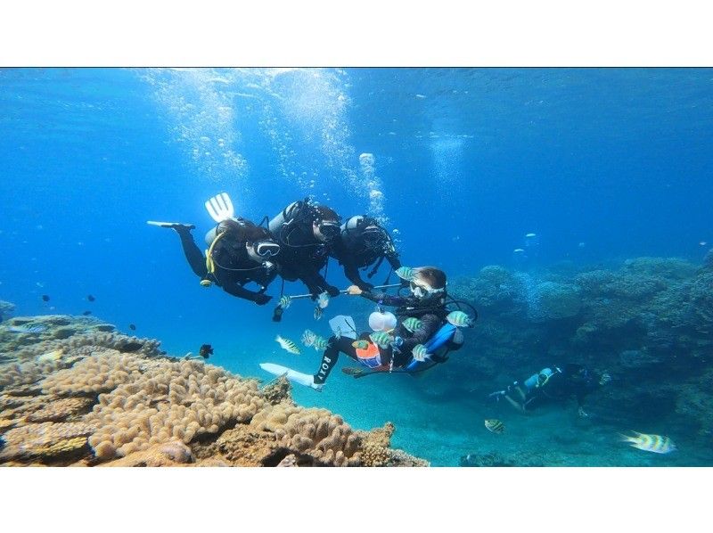 ★沖繩/本部町/Gorilla Chop Beach體驗潛水，是一個有很多魚和珊瑚的人氣地點♪免費GoPro照片資料！推薦給女性、情侶和家庭！の紹介画像
