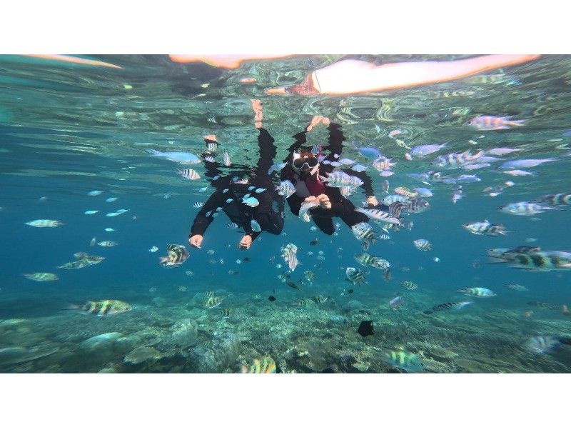 ★Okinawa, Motobu Town, Gorilla Chop Snorkeling is very popular with its many colorful fish and corals. Free GoPro photo data! Recommended for women, couples, and families!の紹介画像
