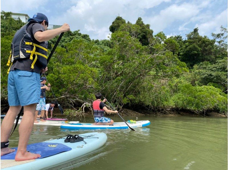 [Great value for groups of 4 or more!] Mangrove SUP tour {Ages 6 and up available, free photo data, free smartphone case rental, hot showers available}の紹介画像