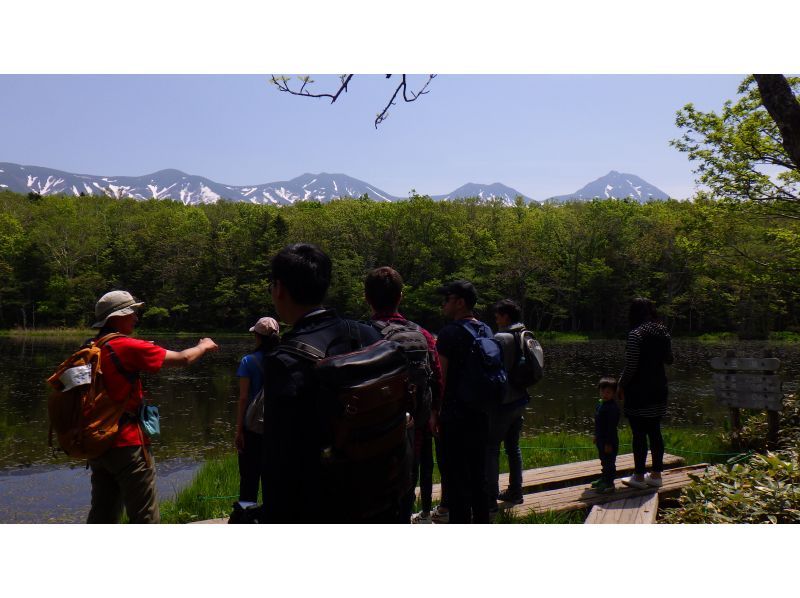 [Shiretoko Five Lakes] Morning start: Shiretoko Five Lakes guided tour - Certified guides will show you around all five lakes!の紹介画像