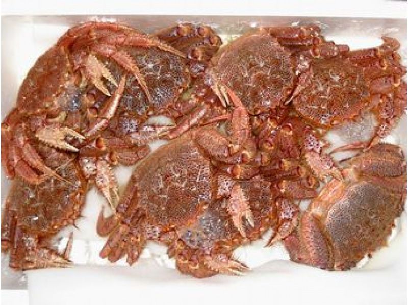 【秋田・大館】早朝の競り体験と市場めぐり！県北唯一の野菜・魚を同時に扱う公設市場で旬の味を見学！（朝定食付）子連れファミリー・団体歓迎の紹介画像