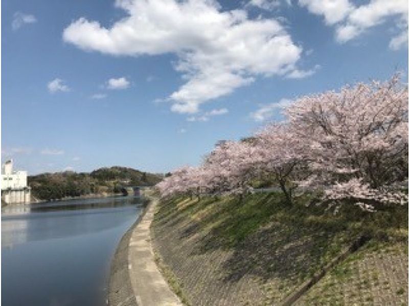 Senior-friendly diving license course, relaxing 5 days (maximum 2 people)の紹介画像