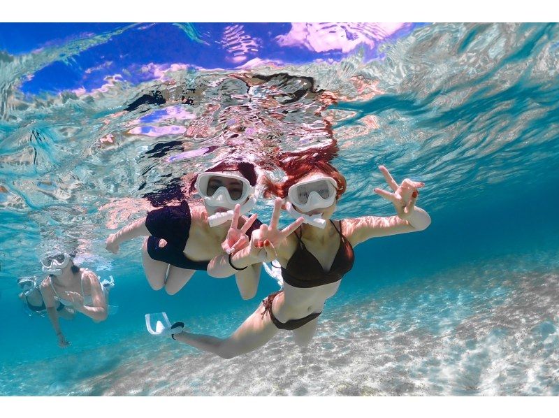 Miyakojima《100% Encounter Rate Continuing》[Sea Turtle & Clownfish Snorkel] No additional fees★Full money back guarantee★1 year old and up! Free rental and photos!の紹介画像