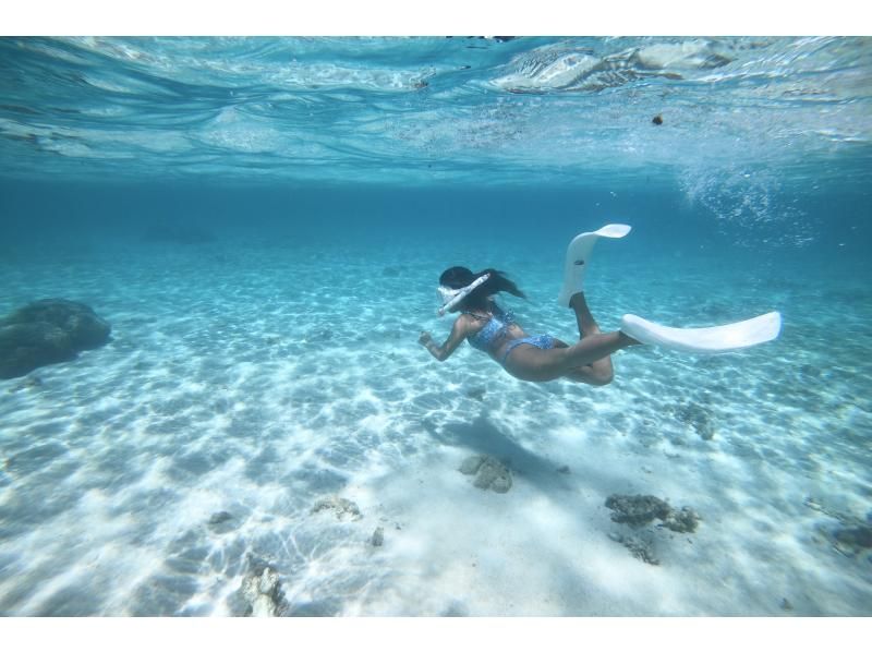 Cheap Miyakojima [Clear SUP & Sea Turtle Snorkel] No additional charges★Full money back guarantee★Free rental and photos!の紹介画像
