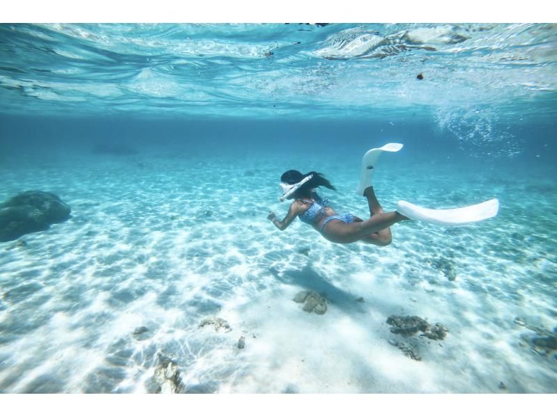 Cheap Miyakojima [Clear SUP & Sea Turtle Snorkel] No additional charges★Full money back guarantee★Free rental and photos!の紹介画像