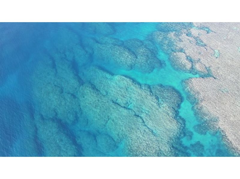 【石垣島】遊び尽くそう！1日体験ダイビング！！初めての方でも安心！ボートで行く八重山の海ダイビングツアー！！の紹介画像