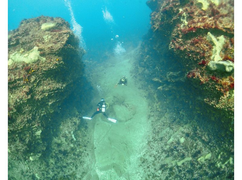 [Minamiboso, Urayasu, Funabashi] Diving with peace of mind for up to 2 people, empty-handed OK" Chiba 2 boats small group [Chiba Prefecture, Minamiboso, Urayasu, Funabashi, Chiba]の紹介画像
