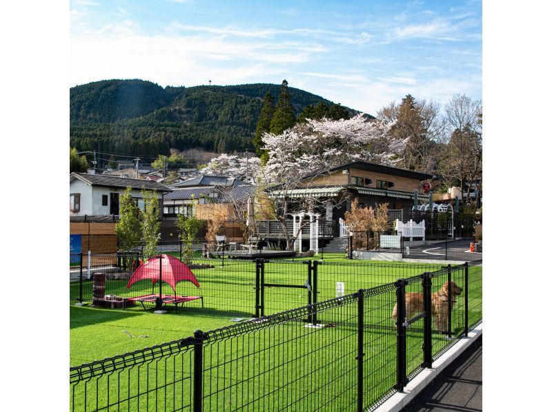 AS dog park reservation + private hot spring included [2 hours]の紹介画像
