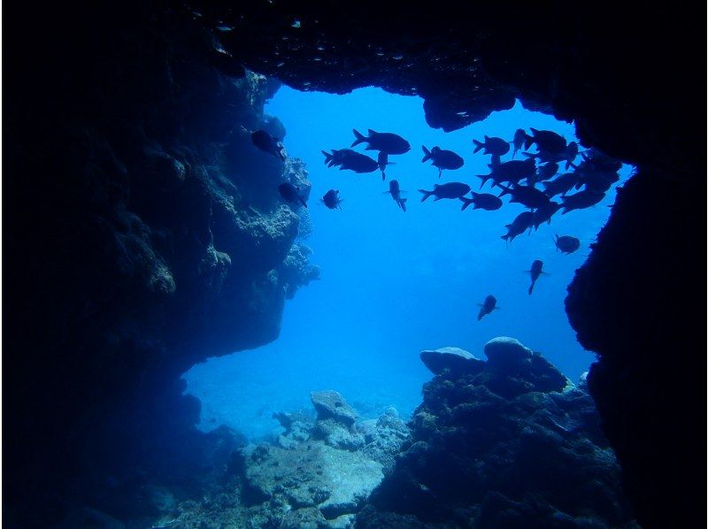 [Northern Okinawa main island, Minna Island, Sesoko Island] Fun diving (2 boats) ☆ Motobu beef BBQ lunch included! Fully equipped with amenities! OK for one person!の紹介画像