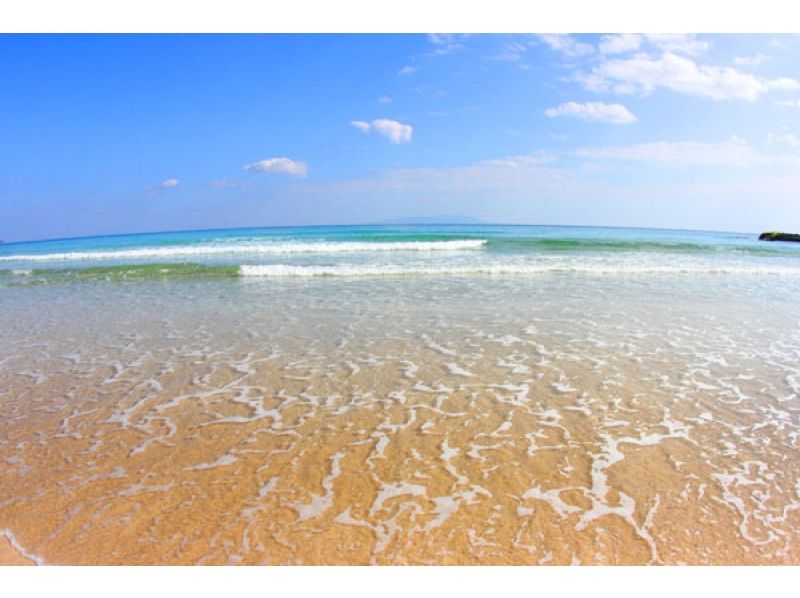 Local coupon available plan [Shizuoka/Izu] Very popular! Surfing and bodyboarding step-up lessons!の紹介画像