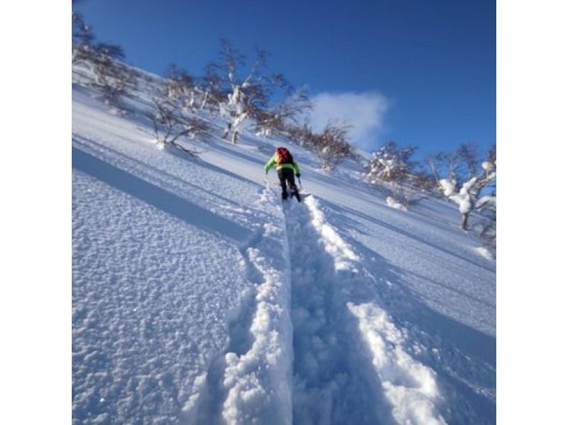 [Hokkaido Furano] Backcountry guided tour to "Furanodake"! Enjoy from beginners to experts!の紹介画像