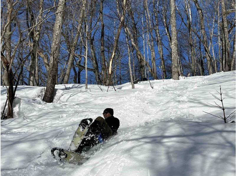 【北海道・旭川】プロガイドと行くスノーシューハイク in 嵐山 <初心者OK・レクチャー付>
