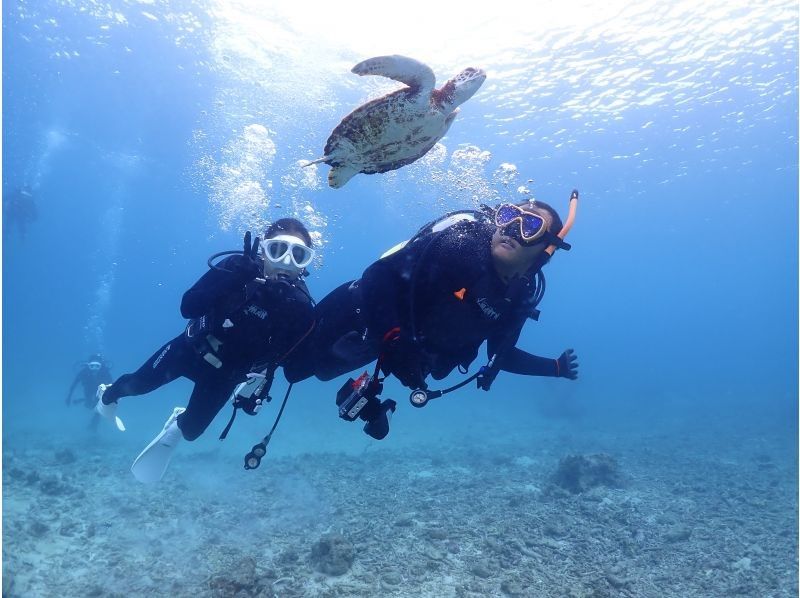 【沖縄・宮古島・ダイビング】たっぷり満喫！貸切ビーチ体験ダイビング（水中写真付き）の紹介画像