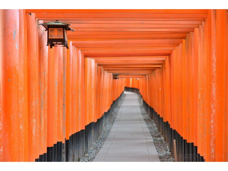 【岐阜・羽島発】テスラレンタカーで行く、京都満喫プランの紹介画像