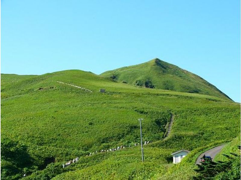 【北海道・礼文】地元はなガイドとめぐる礼文島　3つのコースの中からその日一番の見所へ専門ガイドがご案内♪（2名以上で催行）