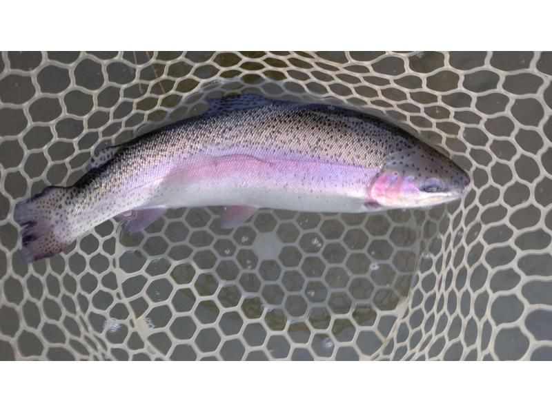 [Kanagawa/Hakone] Lake Ashi in Kanagawa or Lake Motosu in Yamanashi Trout fishing!